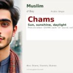 Chams Name Meaning and Details