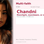 Chandni Name Meaning and Details