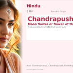 Chandrapushpa Name Meaning and Details