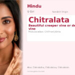 Chitralata Name Meaning and Details