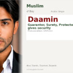 Daamin Name Meaning and Details