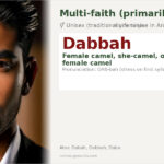 Dabbah Name Meaning and Details