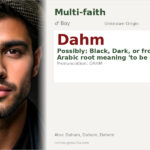 Dahm Name Meaning and Details