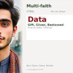 Data Name Meaning and Details