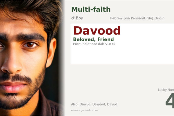 Davood Name Meaning — Origin, Gender & Details (2025)