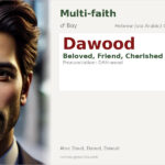 Dawood Name Meaning and Details