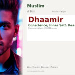 Dhaamir Name Meaning and Details