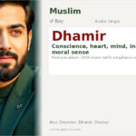 Dhamir Name Meaning and Details