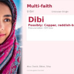 Dibi Name Meaning and Details