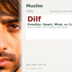 Dilf Name Meaning and Details