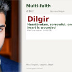 Dilgir Name Meaning and Details