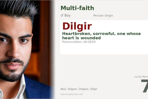 Dilgir Name Meaning — Persian Origin, Boy Name & Details (2025)