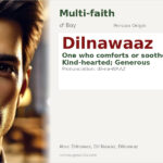 Dilnawaaz Name Meaning and Details