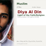 Diya Al Din Name Meaning and Details
