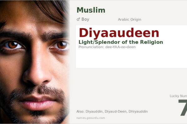 Diyaaudeen Name Meaning — Arabic Origin, Boy Name & Details (2025)