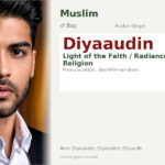 Diyaaudin Name Meaning and Details