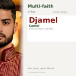 Djamel Name Meaning and Details