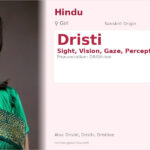 Dristi Name Meaning and Details