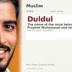 Duldul Name Meaning and Details