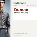 Duman Name Meaning and Details