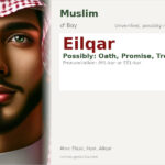 Eilqar Name Meaning and Details