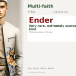 Ender Name Meaning and Details