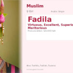 Fadila Name Meaning and Details