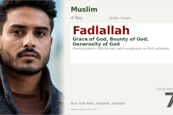 Fadlallah Name Meaning — Arabic Origin, Boy Name & Details (2025)
