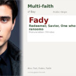 Fady Name Meaning and Details