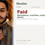 Faid Name Meaning and Details