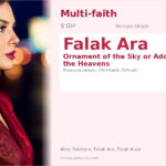 Falak Ara Name Meaning and Details