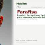 Farafisa Name Meaning and Details