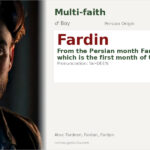 Fardin Name Meaning and Details