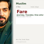 Fare Name Meaning and Details