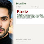 Fariz Name Meaning and Details