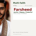 Farsheed Name Meaning and Details