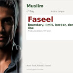 Faseel Name Meaning and Details
