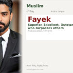 Fayek Name Meaning and Details