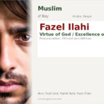 Fazel Ilahi Name Meaning and Details