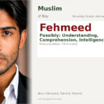 Fehmeed Name Meaning and Details