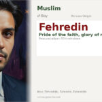 Fehredin Name Meaning and Details