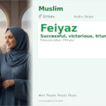 Feiyaz Name Meaning and Details