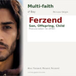 Ferzend Name Meaning and Details