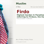 Firdo Name Meaning and Details
