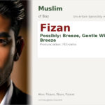 Fizan Name Meaning and Details