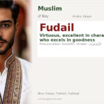 Fudail Name Meaning and Details