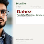 Gahez Name Meaning and Details