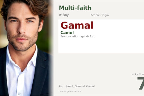 Gamal Name Meaning — Origin, Gender & Details (2025)