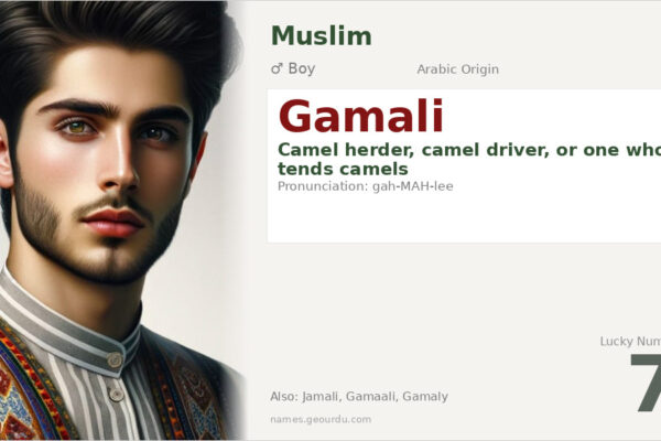 Gamali Name Meaning — Arabic Origin, Boy Name & Details (2025)