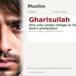 Gharisullah Name Meaning and Details